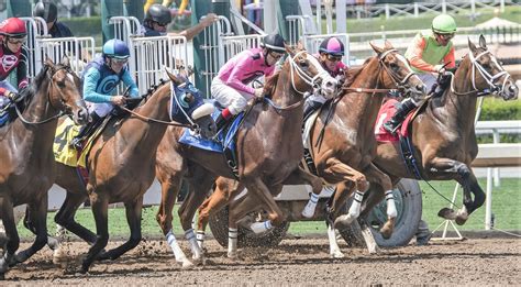 30 Best Horse Racing Quotes and Sayings .